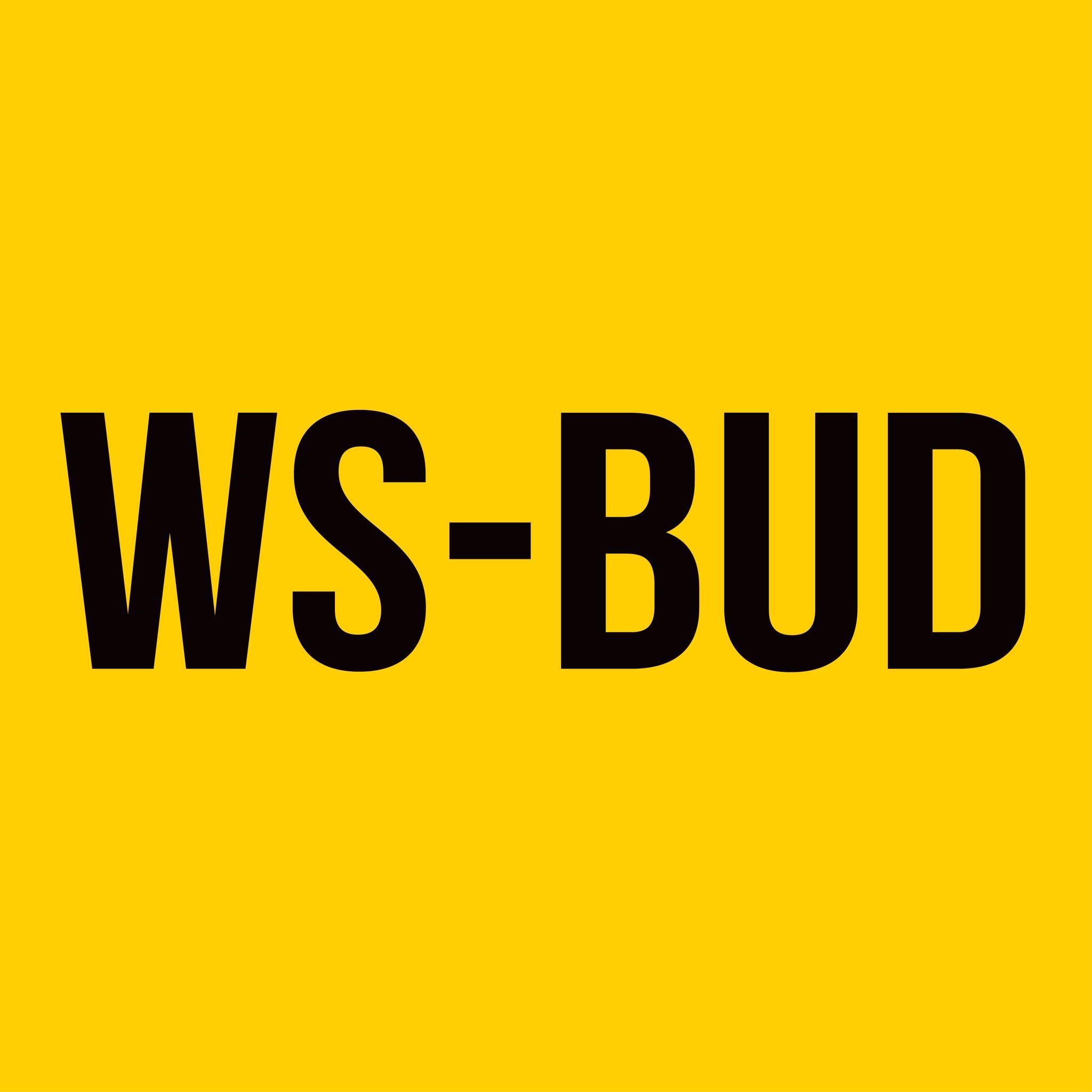 Logo WS BUD